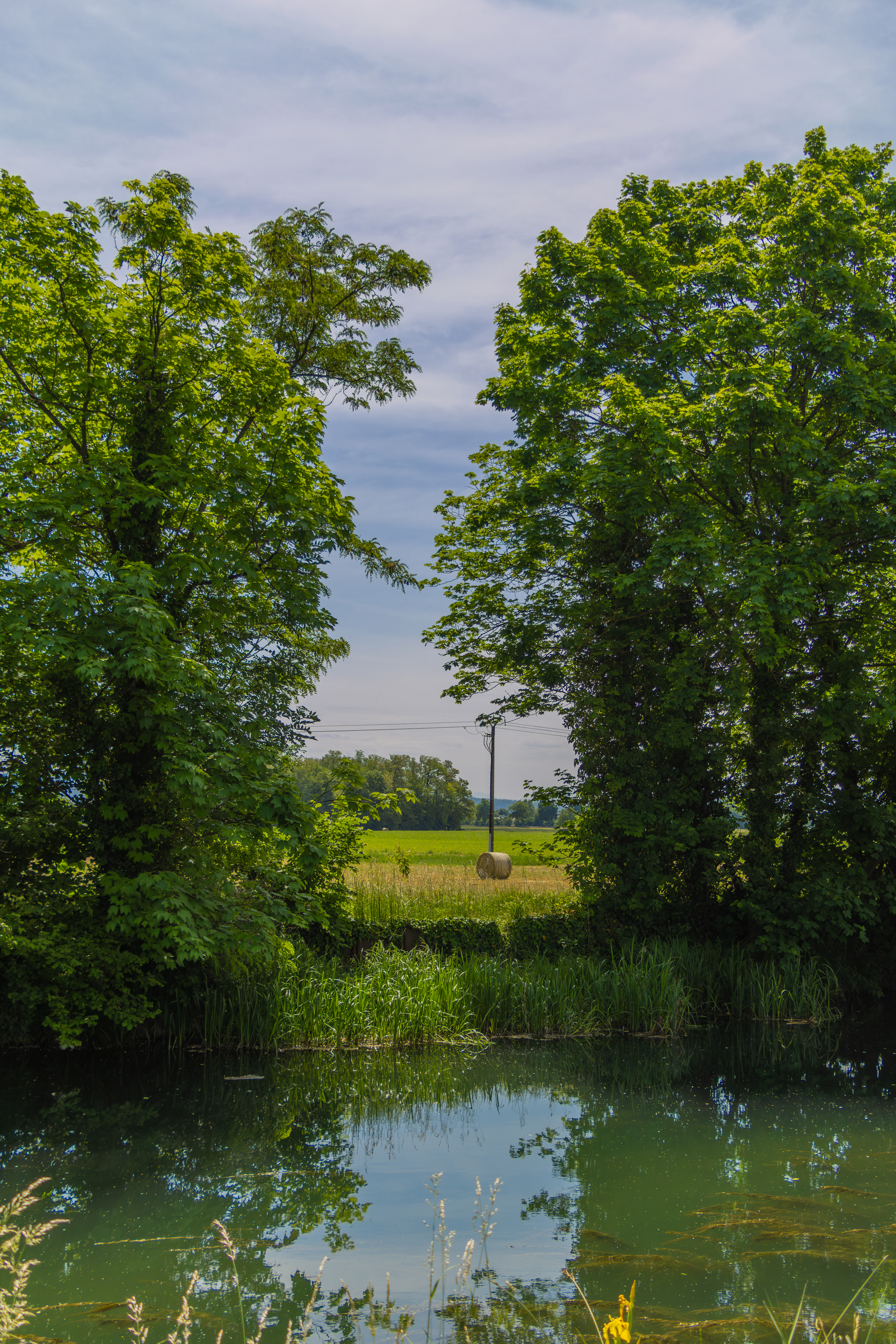 Canal